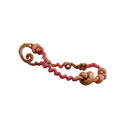 Umbilicus Immortalis Linen Belt